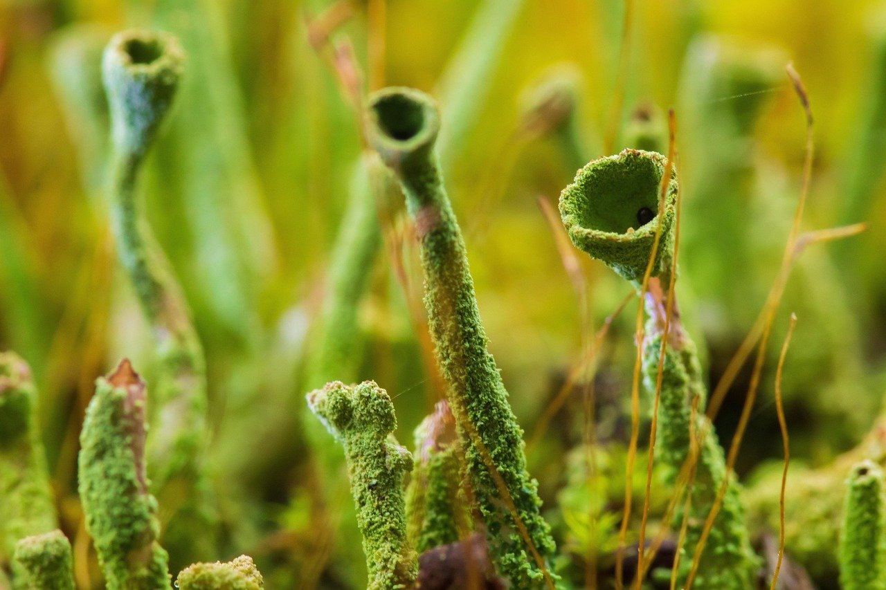 Contact JB Coaching | Spoors